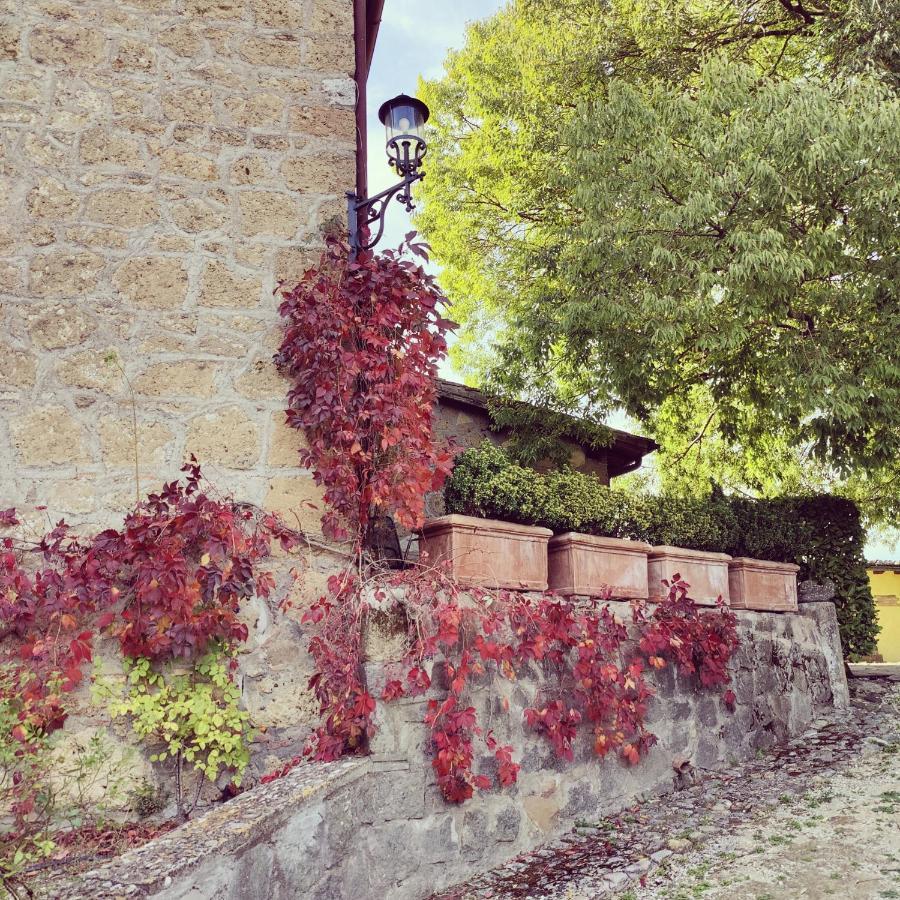 La Locanda Della Chiocciola Орте Экстерьер фото